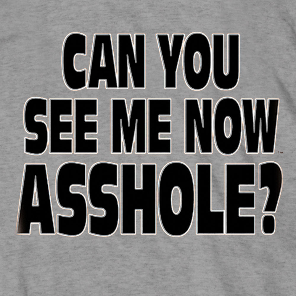 Hot Leathers Can You See Me Now Mens Gray SS T-shirt GMD1541