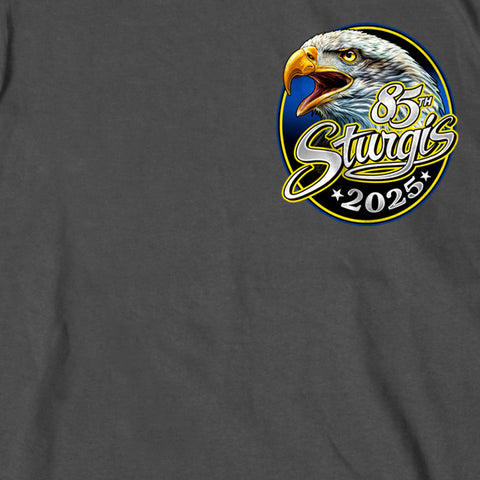 ST25 SCENIC EAGLE SS CH