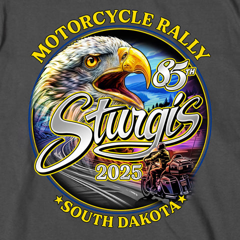 ST25 SCENIC EAGLE SS CH