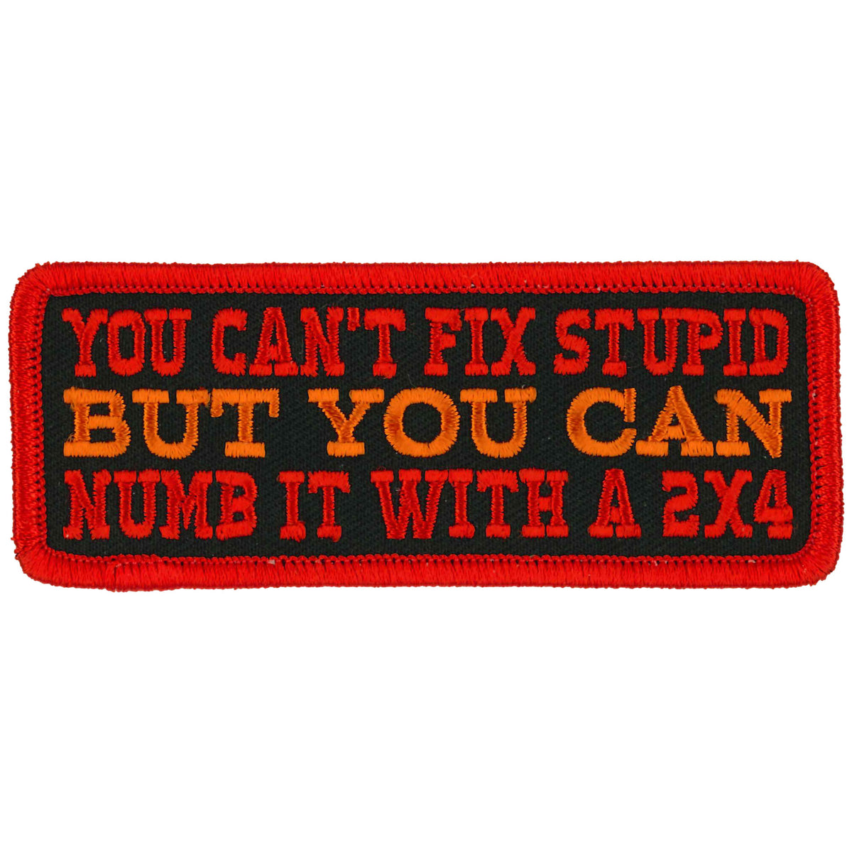 Hot Leathers You Can't Fix Stupid 4" X 2" Patch