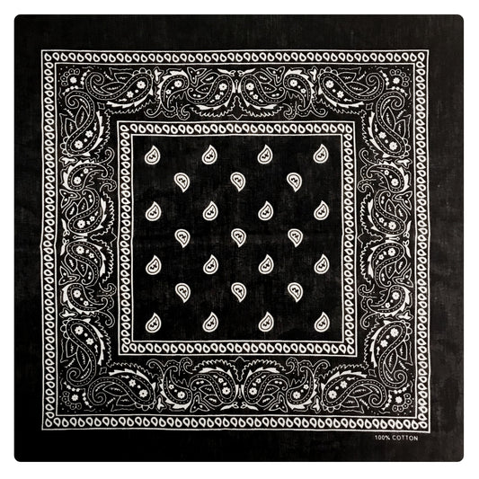 Hot Leathers BAP1001 Classic Black and White Paisley Bandana