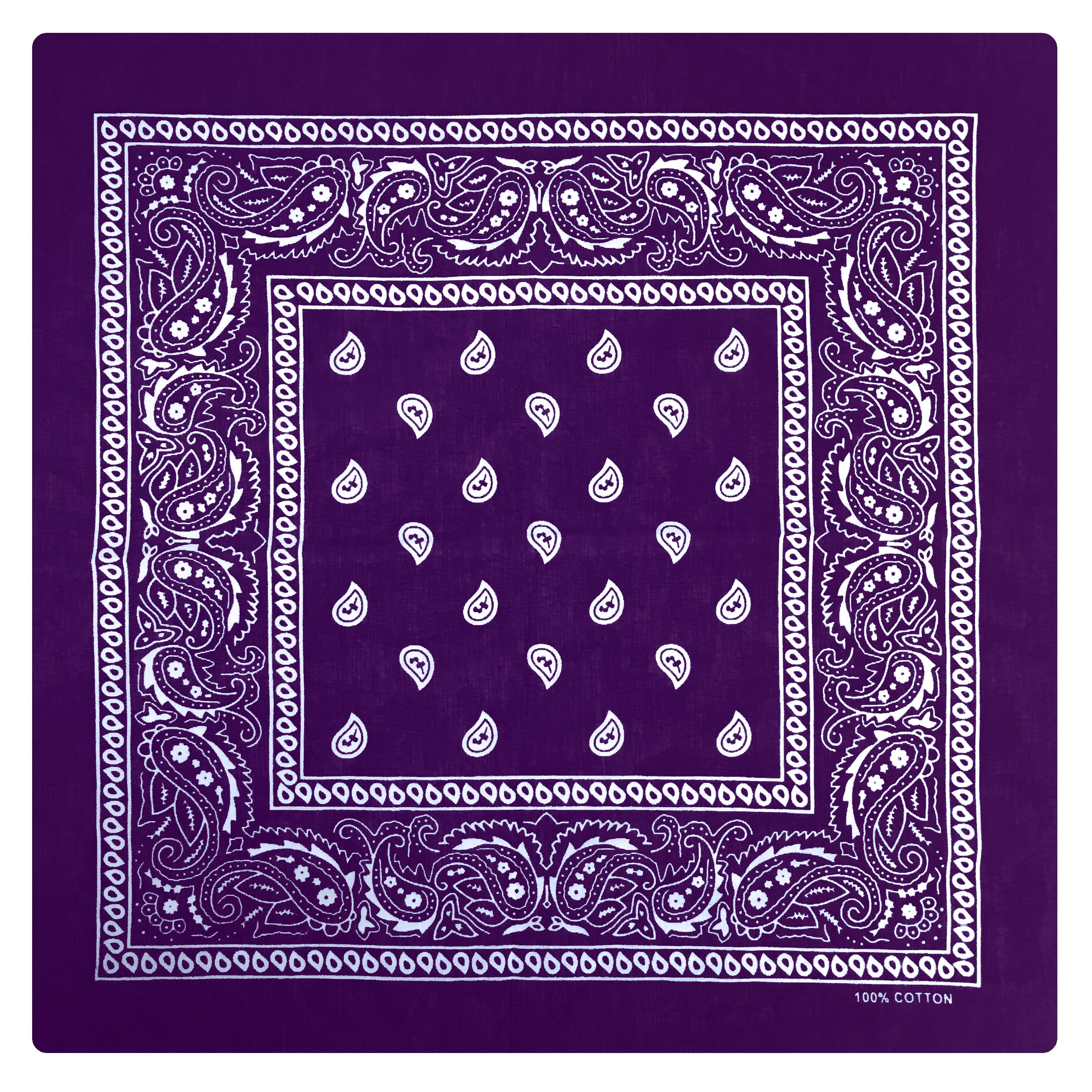 Hot Leathers BAP1002 Classic Purple Paisley Bandana