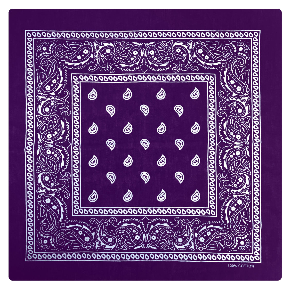 Hot Leathers BAP1002 Classic Purple Paisley Bandana