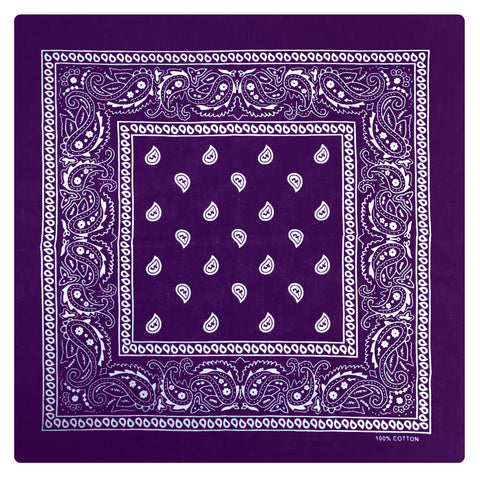 Hot Leathers BAP1002 Classic Purple Paisley Bandana