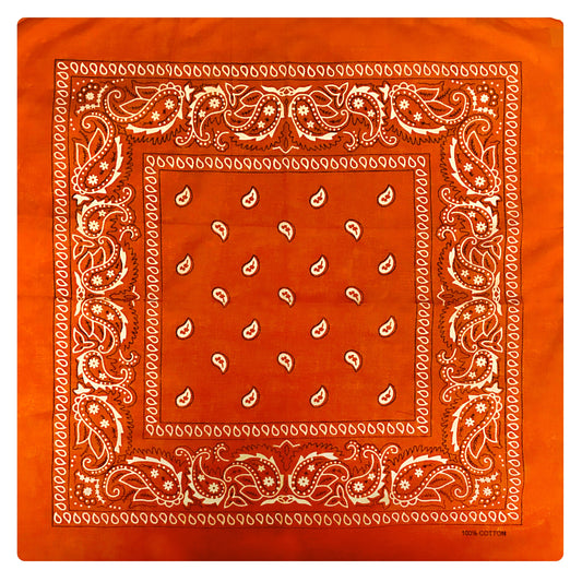 Hot Leathers BAP1010 Classic Orange Paisley Bandana